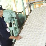 Xuất khẩu cao su vượt 1 tỷ USD sau 5 tháng
