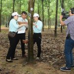 Khi truyền thống là xung lực tinh thần