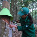 Tự tin phát huy tay nghề