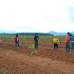 Diện mạo mới, sức sống mới ở Ya Chim