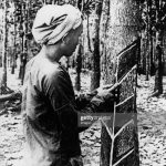 Kinh tế khủng hoảng toàn cầu và công ước 1934