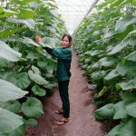 Nữ công nhân cao su ưu tú giúp chị em phát triển kinh tế gia đình