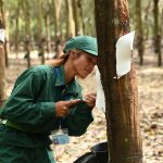 Sôi nổi Hội thi Bàn tay vàng Công ty Vketi
