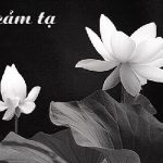 LỜI CẢM TẠ