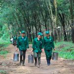 Tuyên truyền vận động tốt góp phần giúp tổ đạt nhiều kết quả tích cực