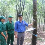 Gương sáng trong phong trào cải tiến - tiết kiệm
