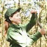 Thông báo Cuộc thi sáng tác “Cao su - Đất và Người”