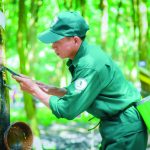 Các đơn vị hoạt động hiệu quả sau cổ phần hóa
