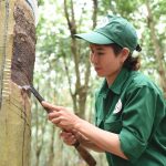 Hăng say thi đua lao động sản xuất trên mảnh đất truyền thống