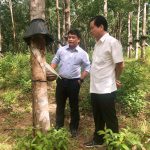 Tích cực hỗ trợ Cao su Quảng Nam khắc phục thiệt hại sau bão Noru