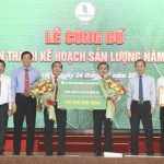 Năng suất vườn cây của Cao su Đồng Nai đạt trên 2,2 tấn/ha