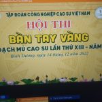 Trực tiếp Khai mạc Hội thi Bàn tay vàng thu hoạch mủ cao su