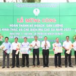 Cao su Lộc Ninh về trước kế hoạch 30 ngày