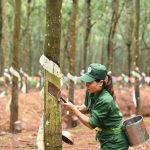 Thời gian đếm ngược
