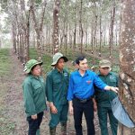 Thanh niên là lực lượng nòng cốt trong phong trào Luyện tay nghề - Thi thợ giỏi