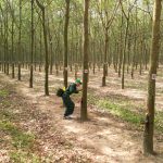 Vinh quang thuộc về người thợ