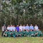Cao su Quảng Trị vượt khó
