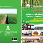 VRG tiên phong phát triển cao su bền vững ở Campuchia