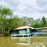 Du xuân đầu năm tại Thác số 4