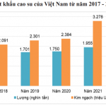 Xuất khẩu cao su năm 2022 lập kỷ lục