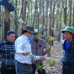 Đẩy mạnh ứng dụng khoa học kỹ thuật trong công tác bảo vệ thực vật