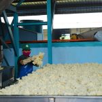 Chủ động, linh hoạt nhiều giải pháp để ổn định thị trường tiêu thụ