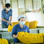 9 giải pháp nhằm ổn định tiêu thụ cao su của Tập đoàn