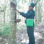 “Mẹ truyền con nối” 20 năm cống hiến, gắn bó với nghề