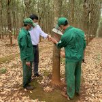 Dấu ấn từ phong trào sáng tạo trẻ ở Đoàn thanh niên cao su Chư Prông