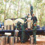 Hóa giải bài toán thiếu hụt lao động khai thác cao su