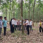 Chuyển giao khoa học kỹ thuật và hỗ trợ cao su tiểu điền