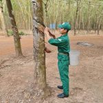 Người công nhân luôn hết mình vì công việc