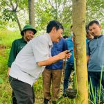 Linh hoạt giải pháp để khắc phục khó khăn
