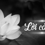 LỜI CẢM TẠ