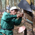 Chăm lo tốt nguồn lực lao động để doanh nghiệp phát triển bền vững