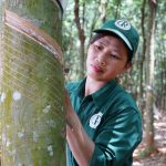 Nữ công nhân tận tâm với công việc