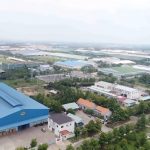 Bản tin chuyên đề số 5
