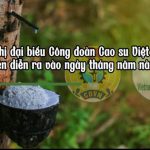 Tìm hiểu lịch sử Đại hội Công đoàn Cao su Việt Nam qua các thời kỳ - phần 2