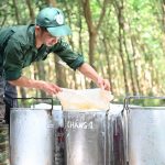 Rộn ràng mùa nước rút vượt sản lượng