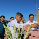 Phát huy truyền thống, sáng tạo vượt khó, phát triển bền vững