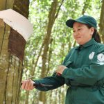 Truyền thống là sức mạnh nội lực của người lao động
