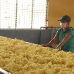 Việt Nam là nhà cung cấp cao su lớn cho EU