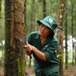 Nữ công nhân tay nghề giỏi với nhiều thành tích nổi bật