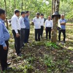 Tập trung củng cố vườn cây và chăm lo cho người lao động