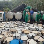 Khát vọng mùa xuân