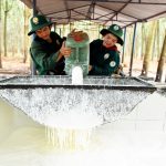 Thạo Cợt - gương sáng công nhân khai thác trên đất bạn Lào