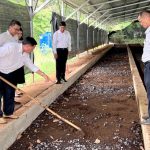 Sử dụng bùn thải từ chế biến cao su làm phân hữu cơ vi sinh: Giải pháp tối ưu định vị kinh tế tuần h...