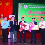 Nâng cao khả năng thích nghi với các biến động của thị trường