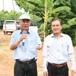 Nâng cao hiệu quả sản xuất kinh doanh cây cao su