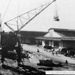 Cây cao su ở Việt Nam dưới góc nhìn Lịch sử - Sinh thái (1897 - 1975): Kiềm chế dịch bệnh